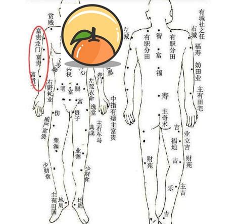 手臂有痣代表什麼|【手臂上的痣代表什麼】手臂上這顆痣讓你招財招人，「貴人運超。